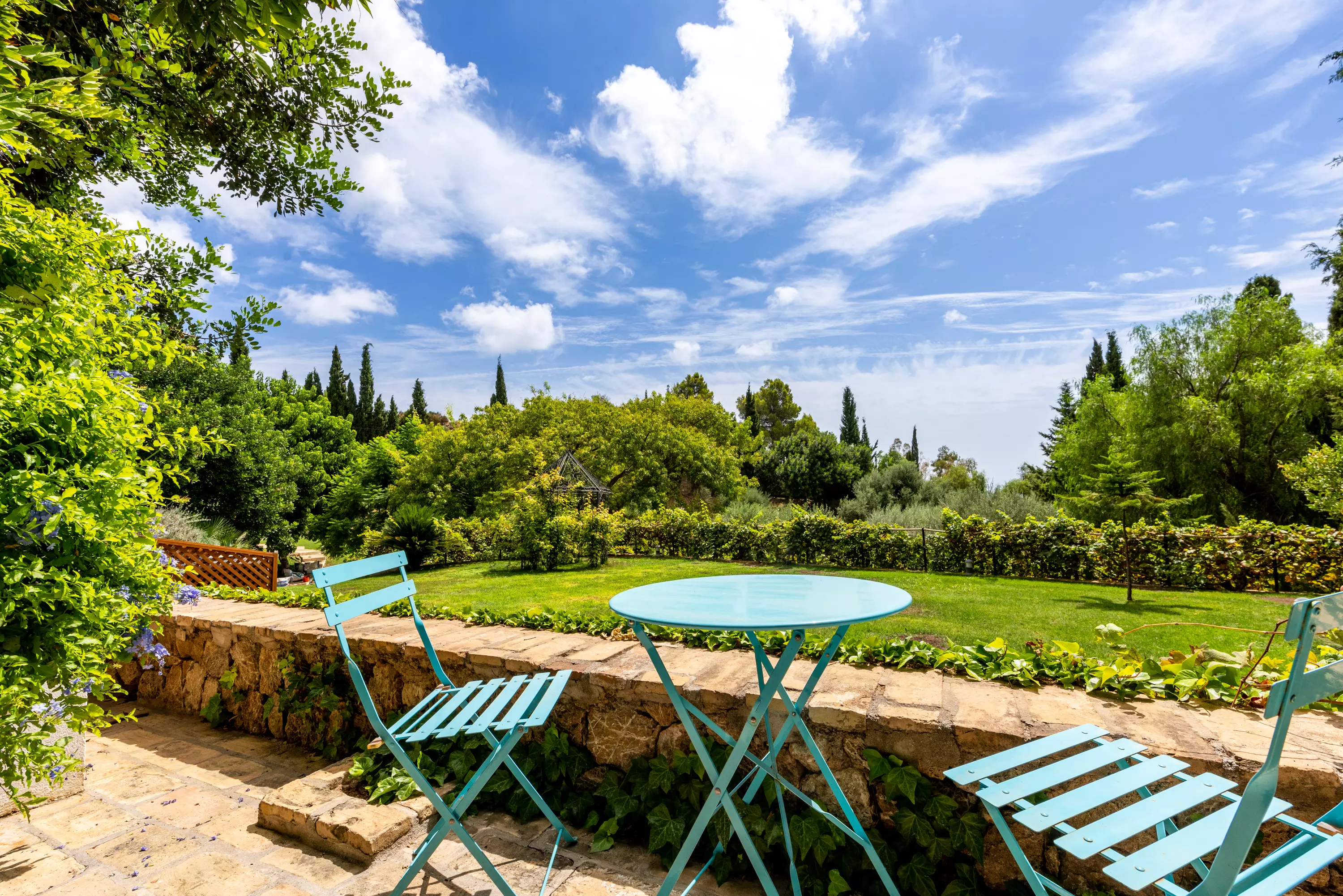 Image of Suite 1: Blue Damask Plum